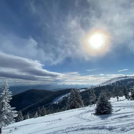 & S20 Milmari アパート