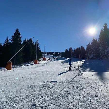 & S20 Milmari Kopaonik