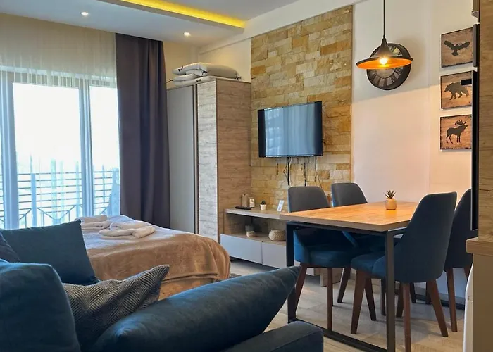 & S20 Milmari 公寓 科帕奥尼克