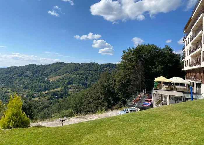 & S20 Milmari * 科帕奥尼克