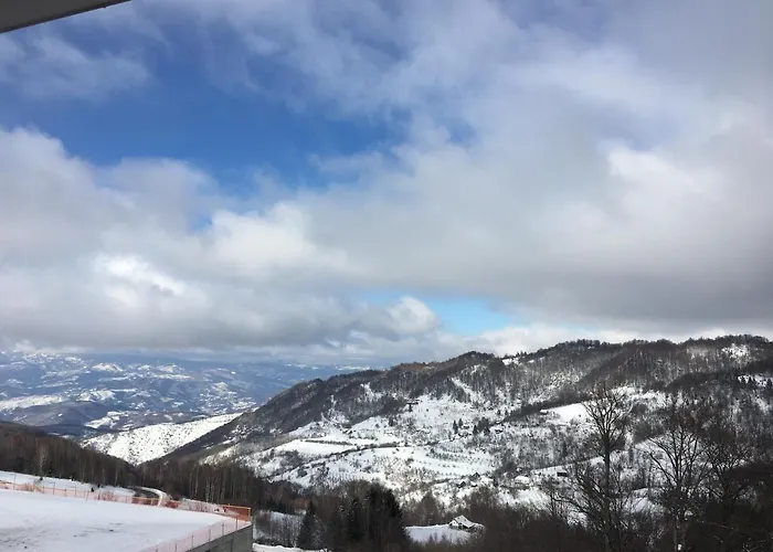 公寓 & S20 Milmari