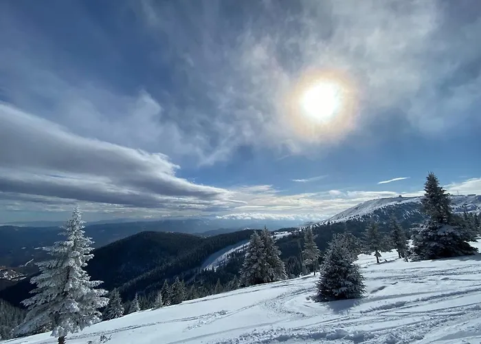 & S20 Milmari 公寓