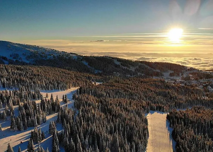 & S20 Milmari 公寓 *