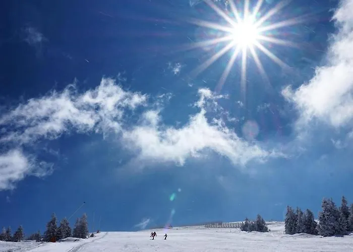 & S20 Milmari 公寓