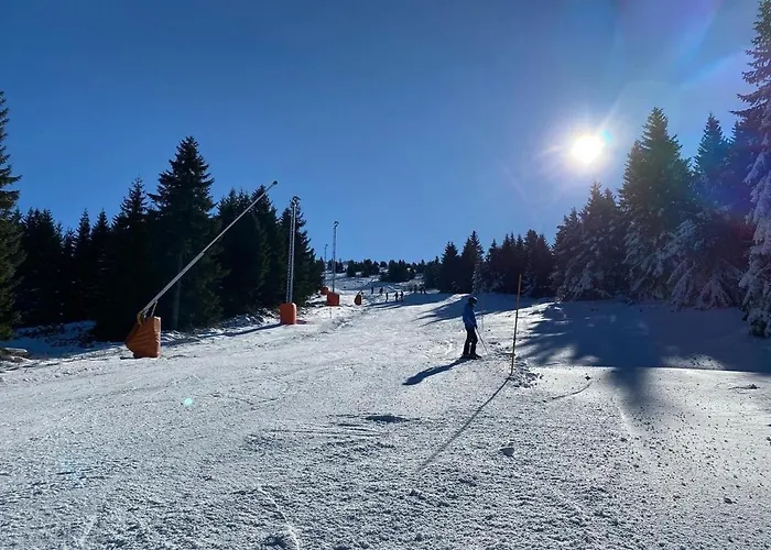 & S20 Milmari 科帕奥尼克