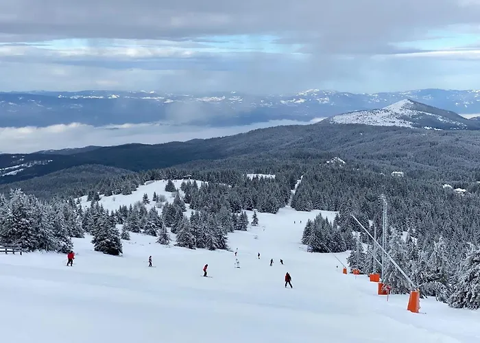 & S20 Milmari 公寓 科帕奥尼克